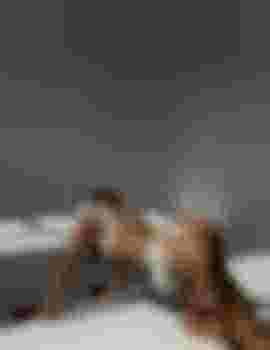 Лилия фото 3