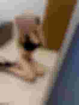 Настя видео главное фото