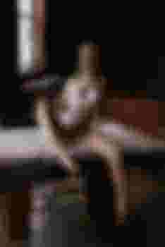 Милана фото 4