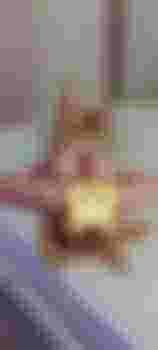 Виктория фото 2