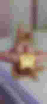 Виктория фото 2