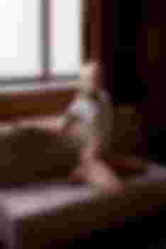 Ева главное фото