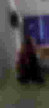 Виктория фото 8