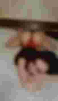 Ольга главное фото