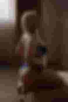 Дашенька главное фото