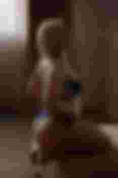 Дашенька главное фото