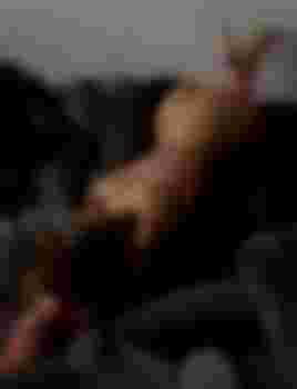 Варвара главное фото