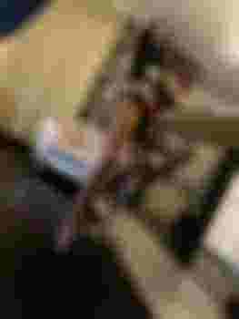 Марина фото 4