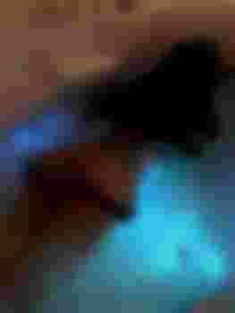 Диана фото 4