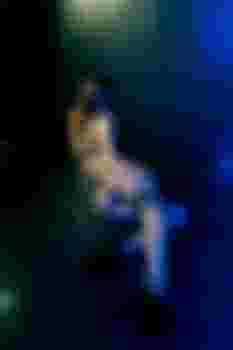 Милисса Стриптиз Не Салон!!! фото 4