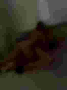 Евгения и Лиза видео фото 4